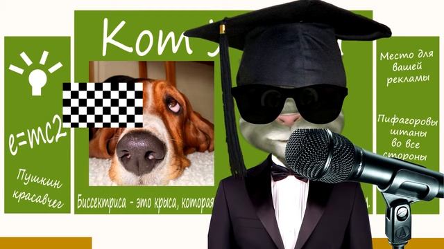 Факт Сколько век у собаки смотреть онлайн