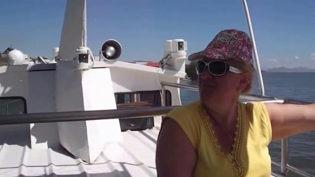 Гармония Колебаний