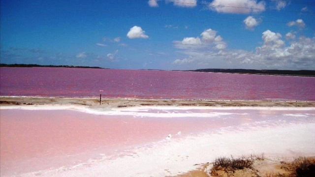 Сенегал, Розовое озеро Ретба, 2016, Senegal, Pink Lake Retba
