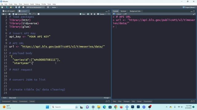 How to Access the Bureau of Labor Statistics API (in R) смотреть онлайн