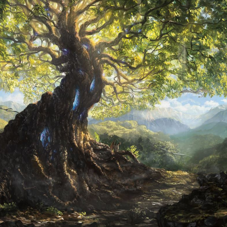 Dotlights Shigeto - Have Doughnut