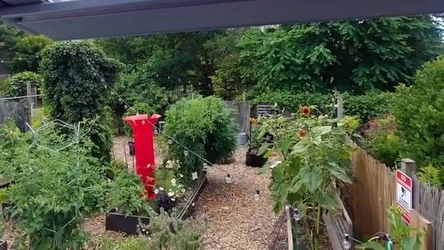 Greenhouse Assembly - Glory Greenhouse 8X16 | Canopia By Palram смотреть онлайн