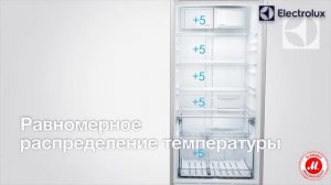 Холодильник с нижней морозильной камерой Electrolux EN93852KX