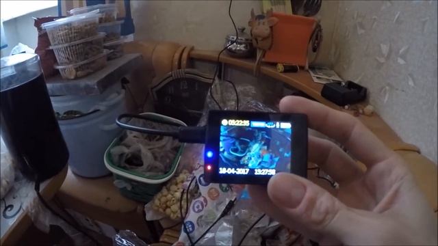 Sjcam sj4000 wifi - полный обзор экшн-камеры смотреть онлайн