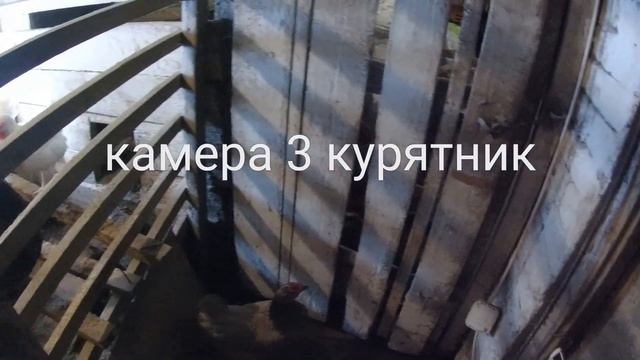 5 дней на даче пародия на игру от изи вейс смотреть онлайн