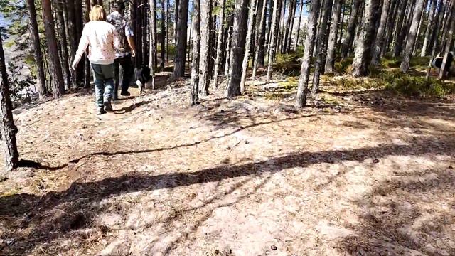 Собаки на севере. Часть 1. Бесов нос смотреть онлайн