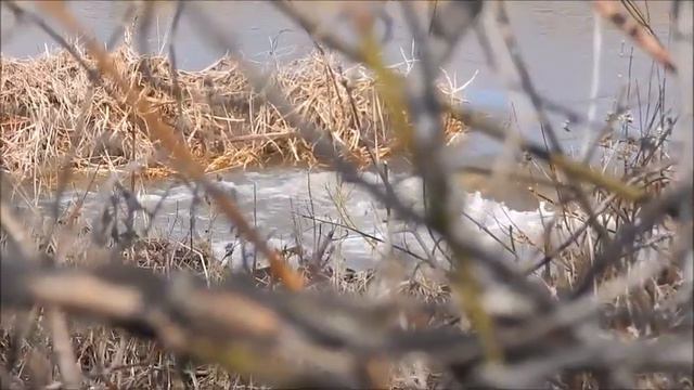 Река весной смотреть онлайн