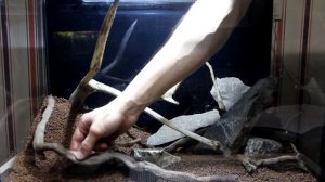 Оформление аквариума 72л.