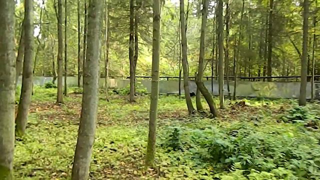 Работа Шмона по барсуку ! смотреть онлайн