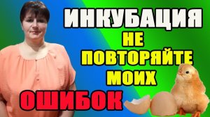 Инкубация. Самые главные ошибки инкубации.
