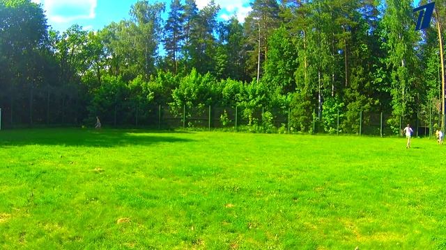 ЛЕТО!!! САМОЕ КЛАССНОЕ ЛЕТНЕЕ ВИДЕО! МОКРАЯ ДЕВОЧКА ТАНЦУЕТ // НА ЛАБУТЕНАХ смотреть онлайн