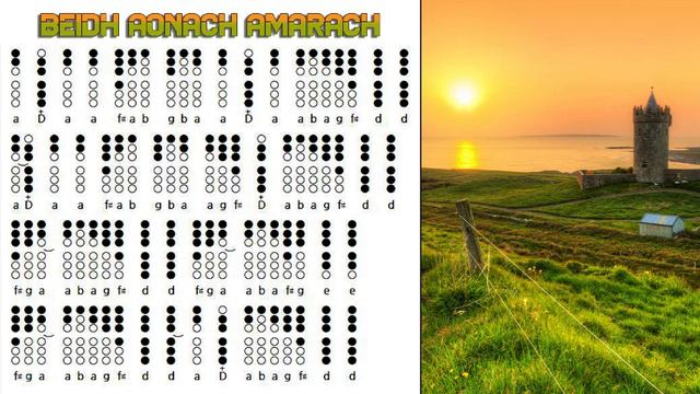 Beidh Aonach Amarach - March - Tin Whistle - Flute Irlandaise -Tabs And Notes