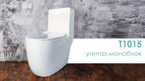 Унитаз-моноблок EvaGold T1015 с горизонтальным выпуском