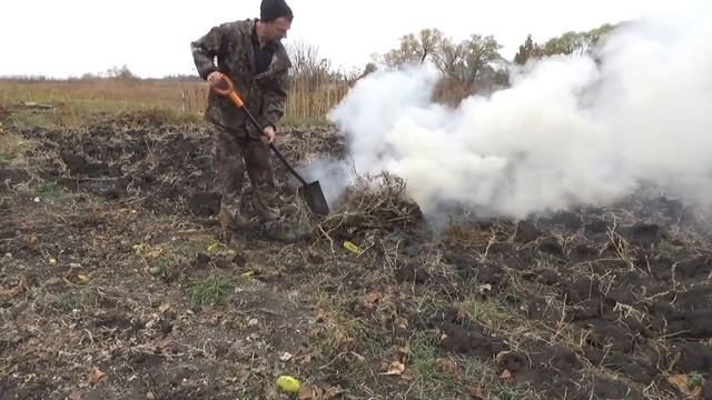 свёкла,морковь, табак смотреть онлайн