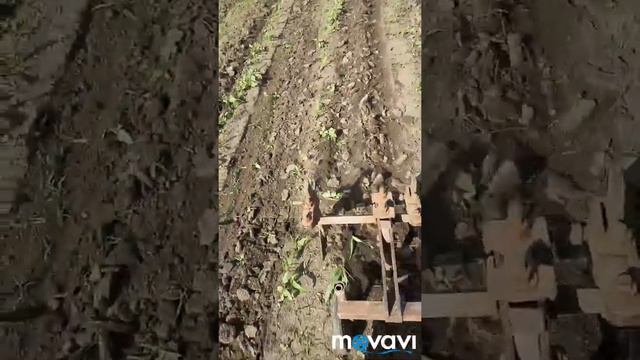 Motobloc buivol 10 cp смотреть онлайн