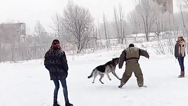 Бат Хан Сердитый Страж смотреть онлайн
