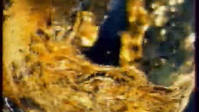 Рекламный блок (REN-TV, 01.07.2006) (3) смотреть онлайн