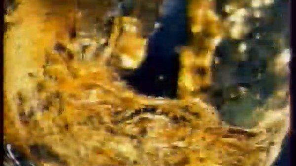 Рекламный блок (REN-TV, 01.07.2006) (3)