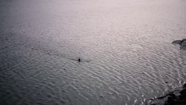 Рыбалка на р. Урал, Казахстан смотреть онлайн