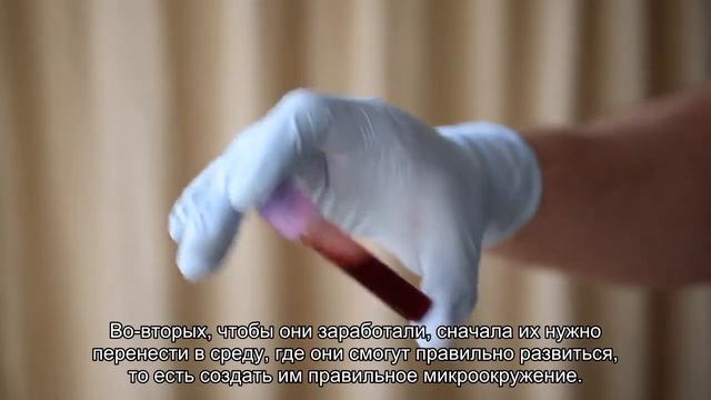 Профессор Пинаев: Клеточные технологии не нужны нашему государству смотреть онлайн
