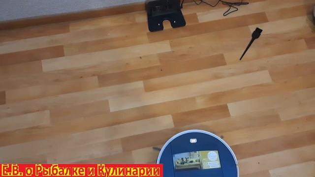 РЕАЛЬНЫЙ ОБЗОР моющего робота пылесоса  Dexp MMB 300, стоит ли брать или нет, после месяца работы. смотреть онлайн