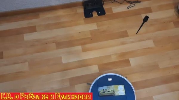 РЕАЛЬНЫЙ ОБЗОР моющего робота пылесоса Dexp MMB 300, стоит ли брать или нет, после месяца работы.