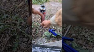 Просроченный баллон с монтажной пеной