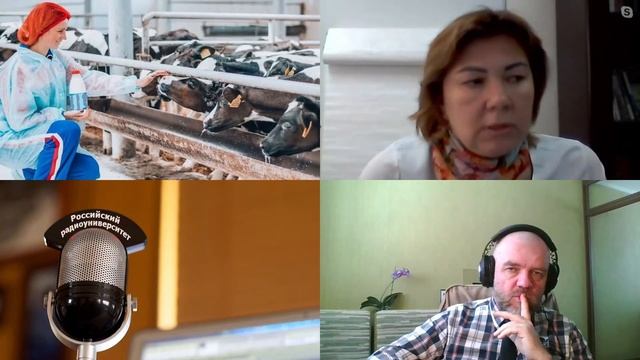 796. Т.Н. Нагаева: Молочные реки в санкционных берегах. Контроль качества и корма смотреть онлайн