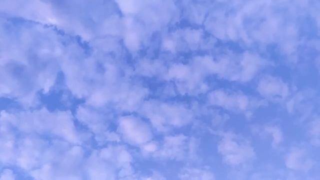 Улыбка, фонарь, глаз бога. смотреть онлайн