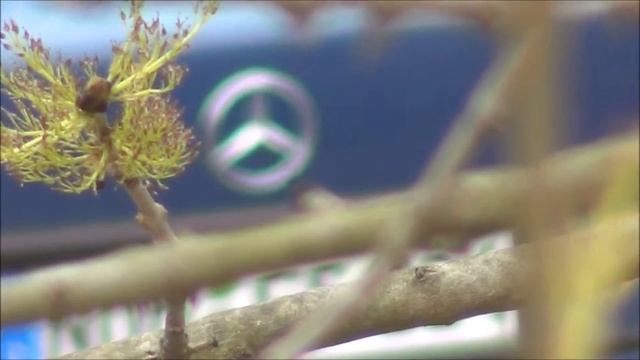 SONY HDR-CX130E смотреть онлайн