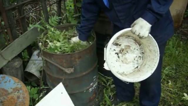 Нестандартная работа с рассадой, высадка рассадных стаканчиков и что их этого вышло. смотреть онлайн