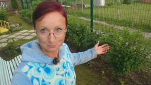 Видео привет с 6 соток 8 июля 2023 года.