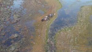 Расстановка чучал гусей, как установить и собрать чучела на топком болоте???