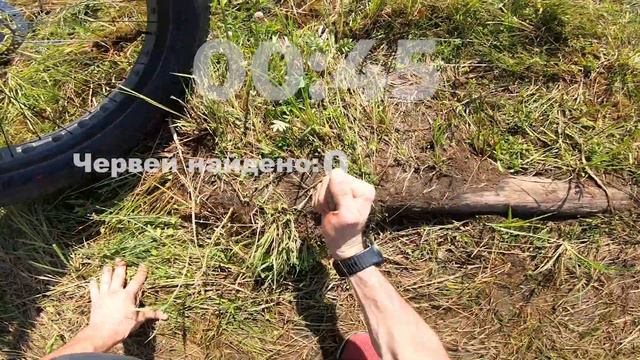 140 км на одном заряде Золотая рыбка смотреть онлайн