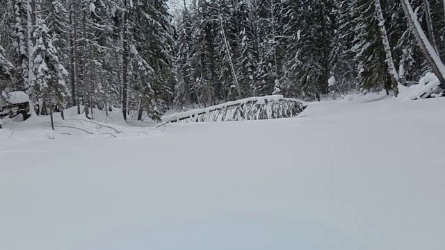 Ночью выпал снег. Сходил на озеро к бобрам. 7 серия. /Поход 25 - 27 февраля 2023/ смотреть онлайн