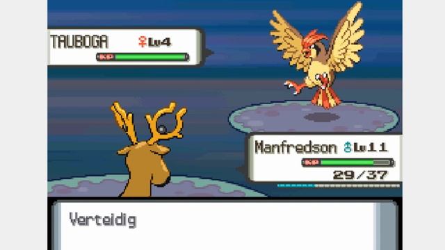 Neues TeammitGLIED mit VORZÜGEN// Pokemon Perl смотреть онлайн