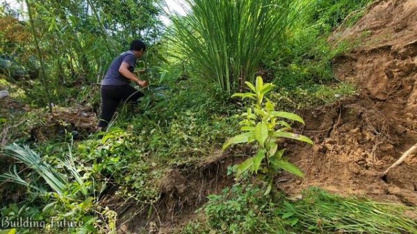 Full Video : 30 days  build a farm with a full range of vegetable gardens and fish ponds