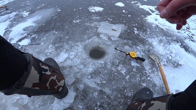 Рыбалка на реке Зея | Ловля Пескаря | Улитки на мормышку смотреть онлайн