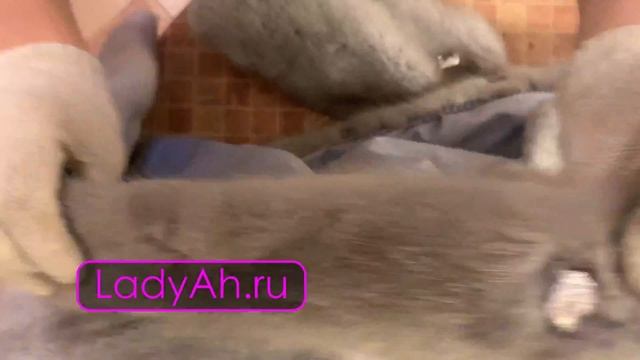 ? Как постирать шубу в домашних условиях? Смотреть до конца! смотреть онлайн