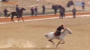 Таджик оседлал коня наскоку