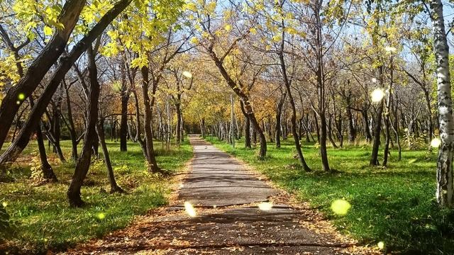 Мама, это квартира моего мужа. Я не могу вас туда заселить, там есть квартиранты смотреть онлайн