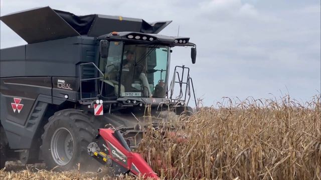 ?? Введення у роботу MF Ideal 7!?? смотреть онлайн