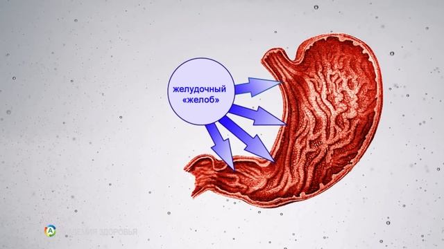 Как Похудеть при помощи теплой воды смотреть онлайн