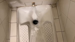 Звук смыва туалета