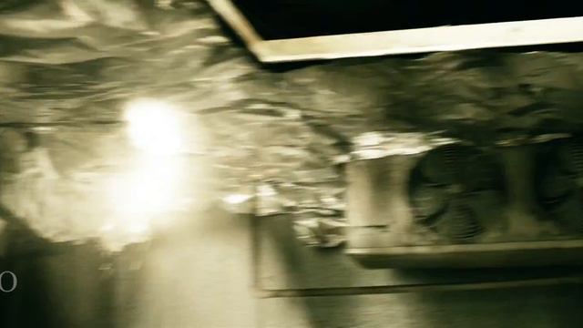 The Boys || Bones смотреть онлайн