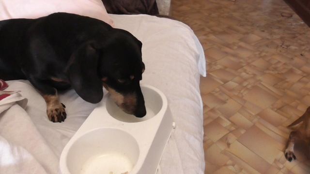 Завтрак принцессы.