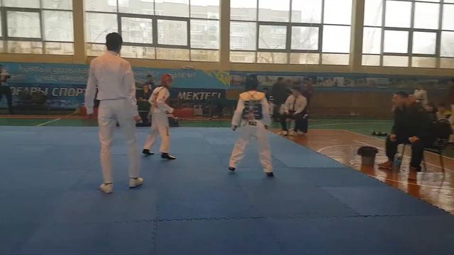 Чемпионат области среди кадетов и юниоров по таеквондо WT. 27. 12.2018 г. смотреть онлайн