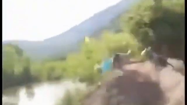 Смешное видео про животных смотреть онлайн