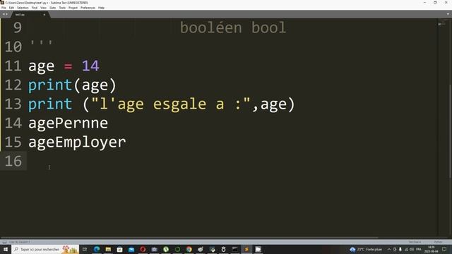python #4 : notion des variables chez Python смотреть онлайн