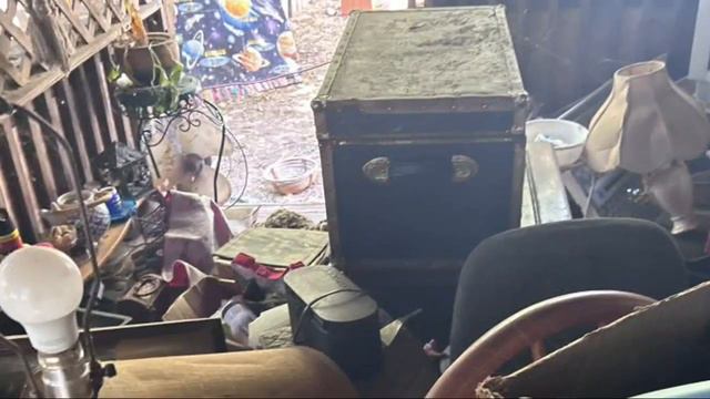 Seven dogs rescued from deplorable conditions in abandoned Oklahoma City home смотреть онлайн